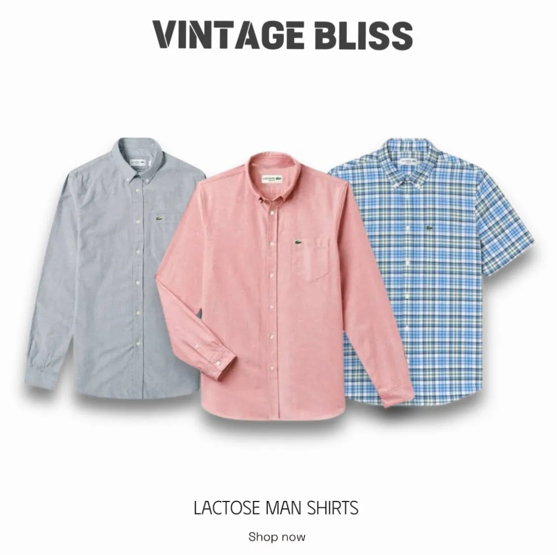 Lacoste Men Shirts